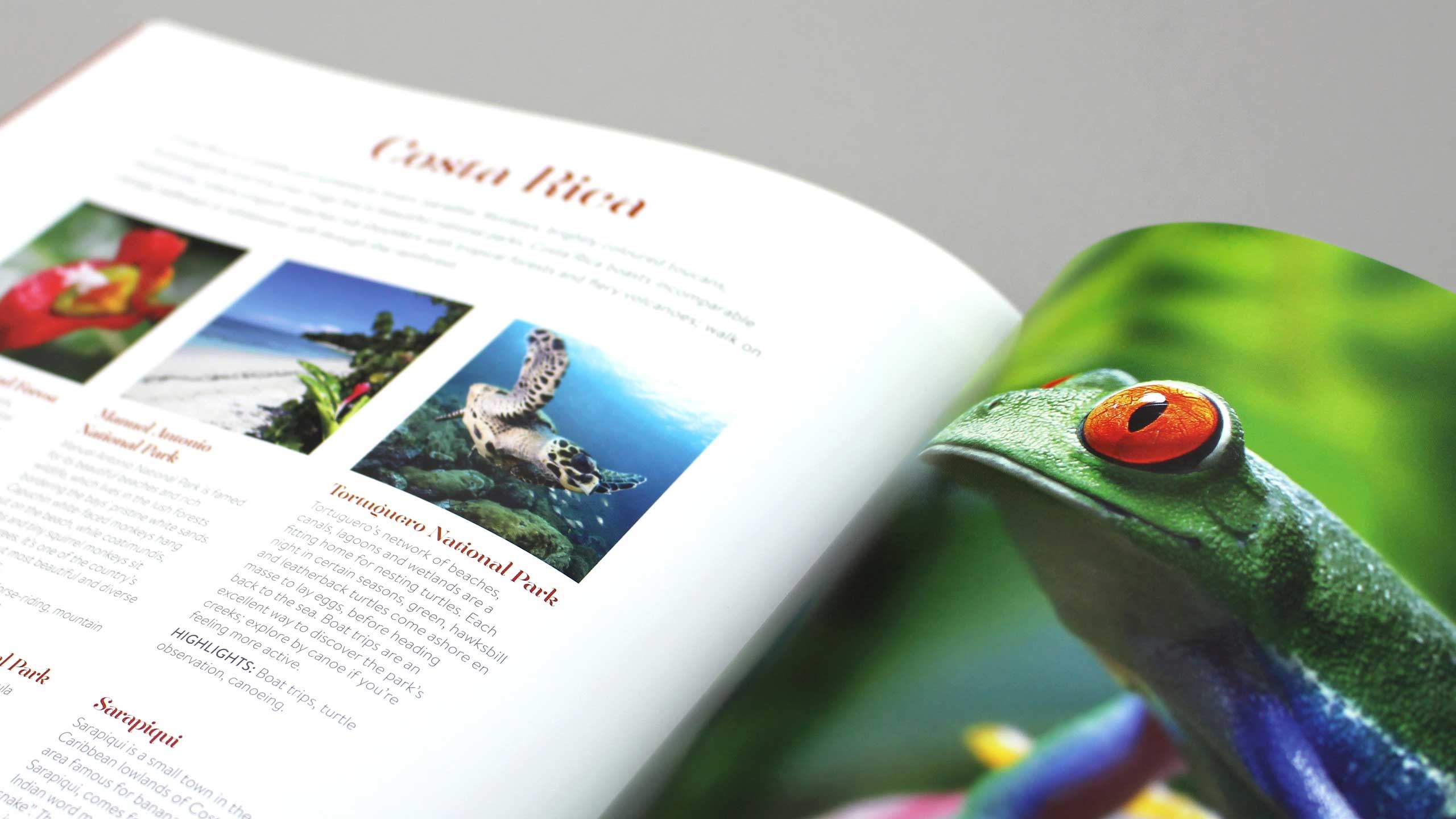 bespoke travel brochure design costa rica frog pages explore tailor made